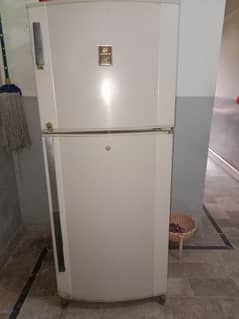 Fridge