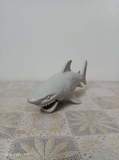 shark