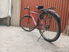 caspian 26 inch bike