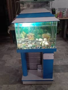 Aquarium