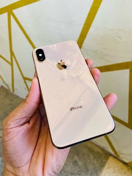 Iphone Xs 64 GB 2