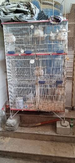 6 portion 1 Cage for Sale