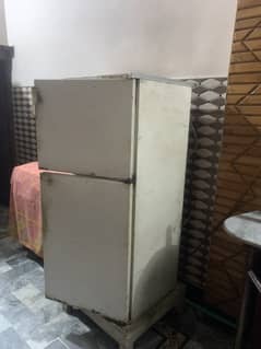 Fridge white color