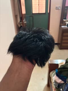 Hair Patch Q6