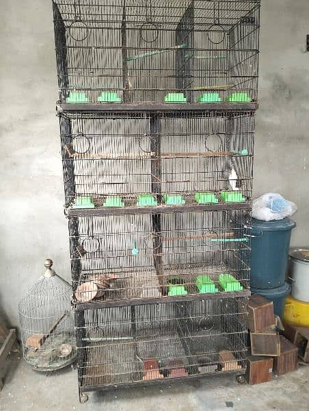 12portion Master cage 3