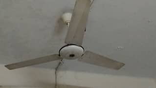 GFC Ceiling Fan