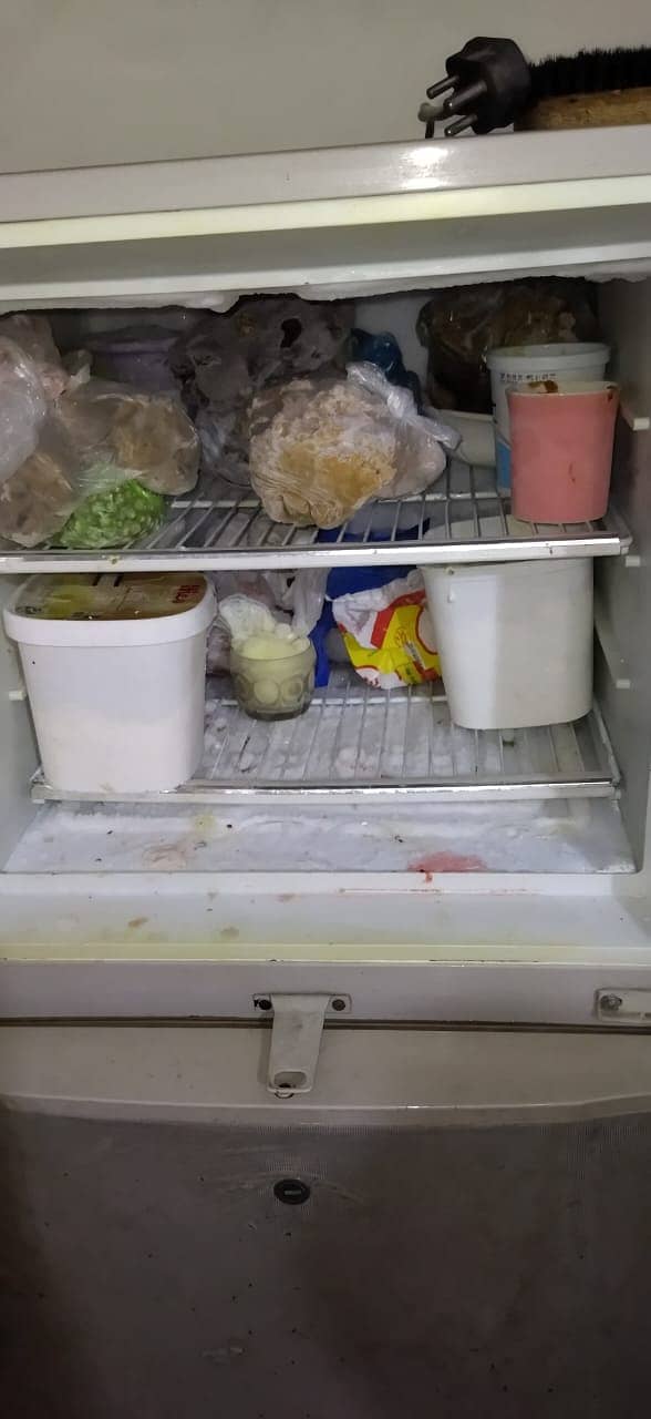 Dawlance 10 Cubic Feet fridge for sale in cheap price 4