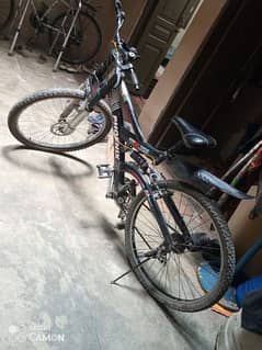 Phoenix bicycle for sale