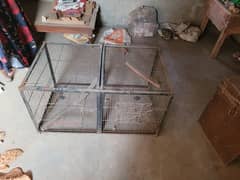 Cage 1.5/3 size ha Taqreebn