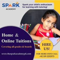 Online and home tutor wanted