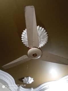 Pak Fan, Ceiling Fan, Cheapest Price, 10/10 Condition Urgently selling