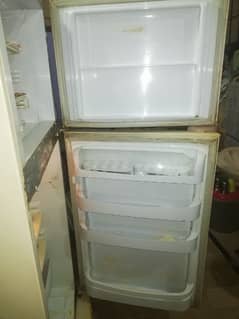 PEL Refrigerator Condition 10/6