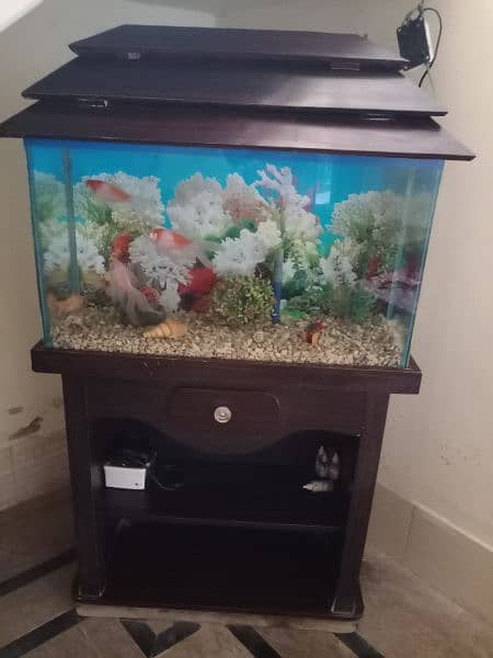 Aquarium and 4 Fish 1