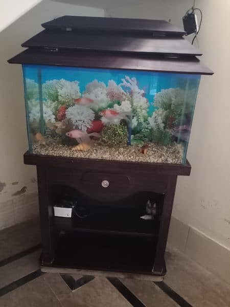 Aquarium and 4 Fish 2