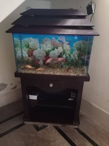 Aquarium and 4 Fish 3