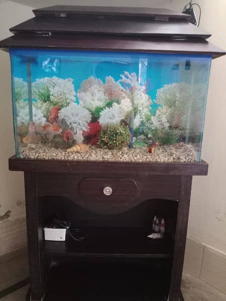 Aquarium and 4 Fish 7