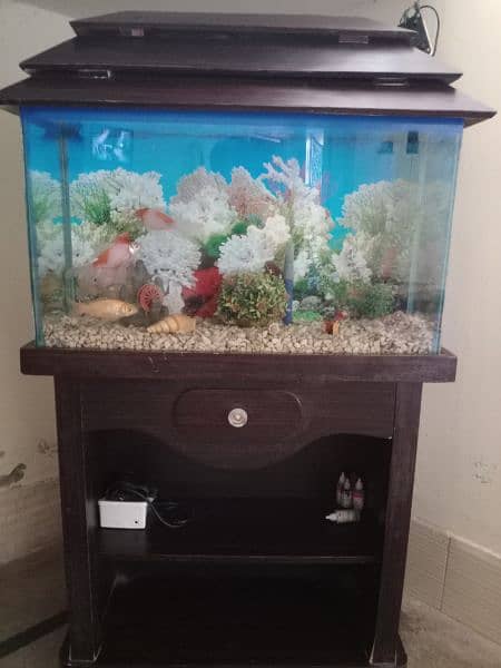 Aquarium and 4 Fish 8