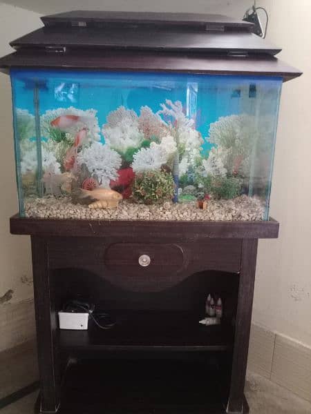 Aquarium and 4 Fish 10