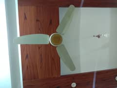 United Ceiling fans (used) 220v in a good working condition for sale