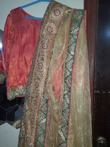 Embroidered net sharara with net doptta and banarsi blouse 1