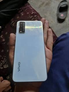 vivo