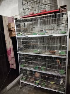 4X6 gonvilze cage for sale