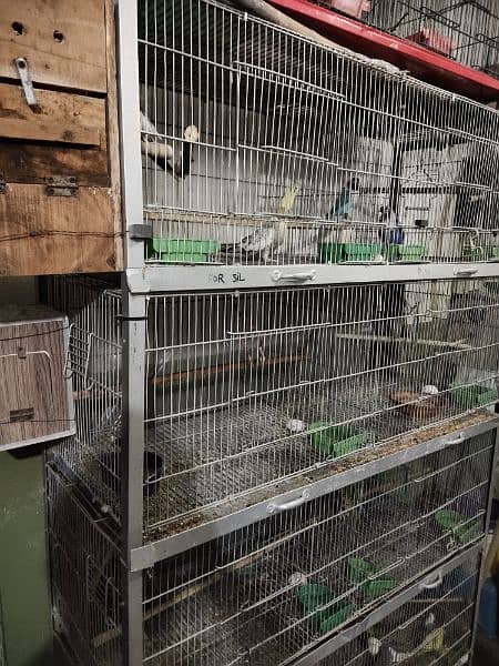 4X6 gonvilze cage for sale 1