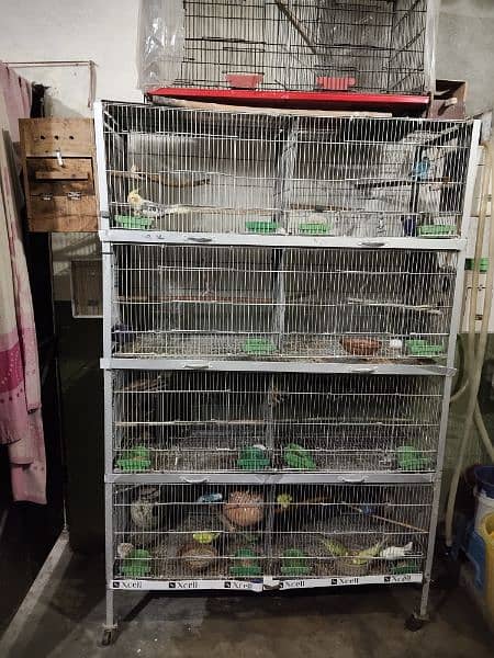 4X6 gonvilze cage for sale 2