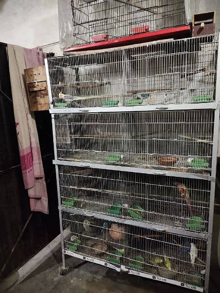 4X6 gonvilze cage for sale 3