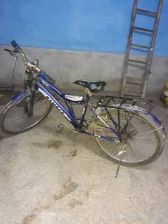 cycle for sale