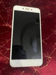 oppo a71