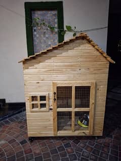 Dog House