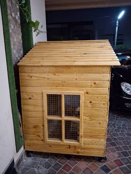 Dog House 1