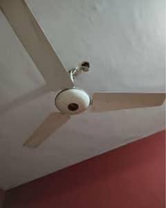 3 ceiling fan (each price is 5000)