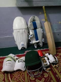 Cricket hard ball pads. gloves. helmet. safegurd. ties with bag