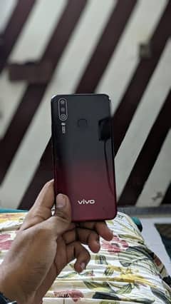 vivo