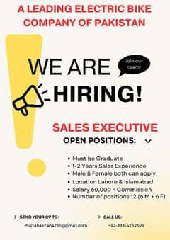 Sales Executive