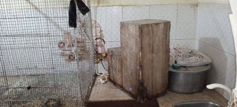 parrot cage 1