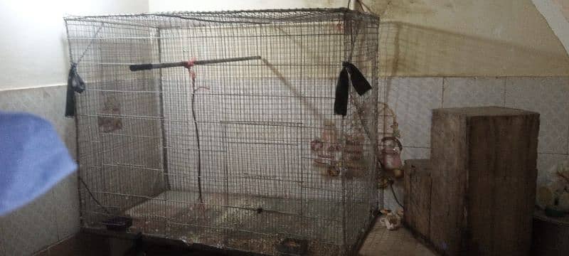 parrot cage 2