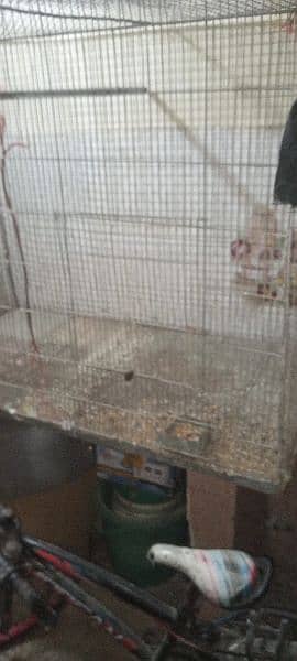 parrot cage 3