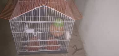 arstralian parrots cage