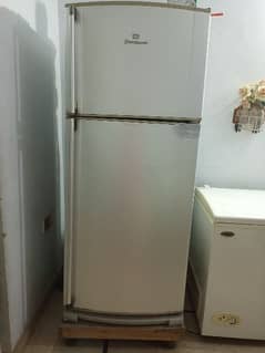 Dawlance fridge jumbo size