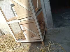 Hen/Pigen cage for sale Stylish cage