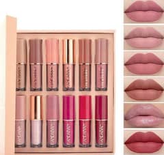 velvet Matte Lip gloss , pack of 12