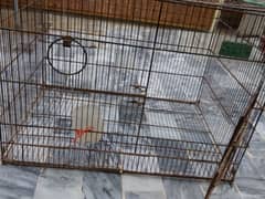 cage for sale