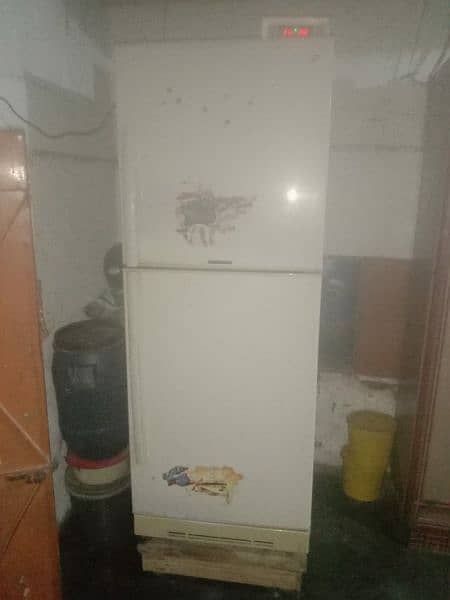 Pel jumbo size fridge 1