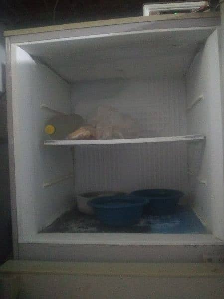 Pel jumbo size fridge 2