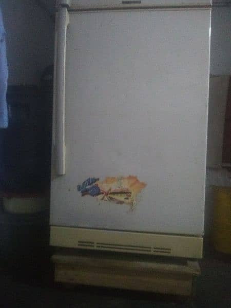 Pel jumbo size fridge 5