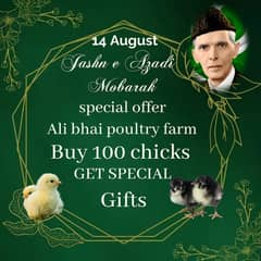 golden misri | Austrolop| Lohman Brown|RIR chick| hens|murghi | cages