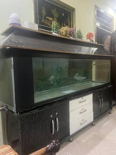 Fish Acquarium with Sump Filtration System